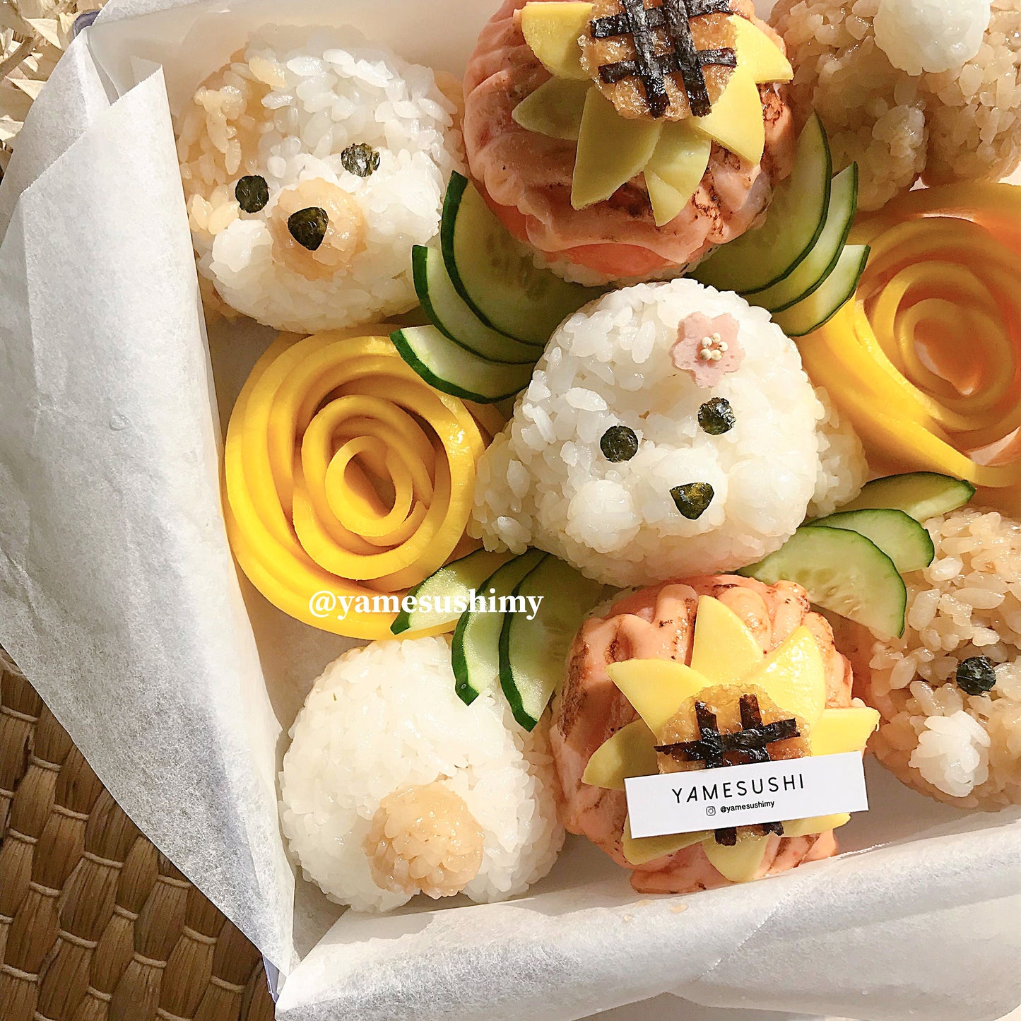 Poodle Cute Cute Sushi Gift Box